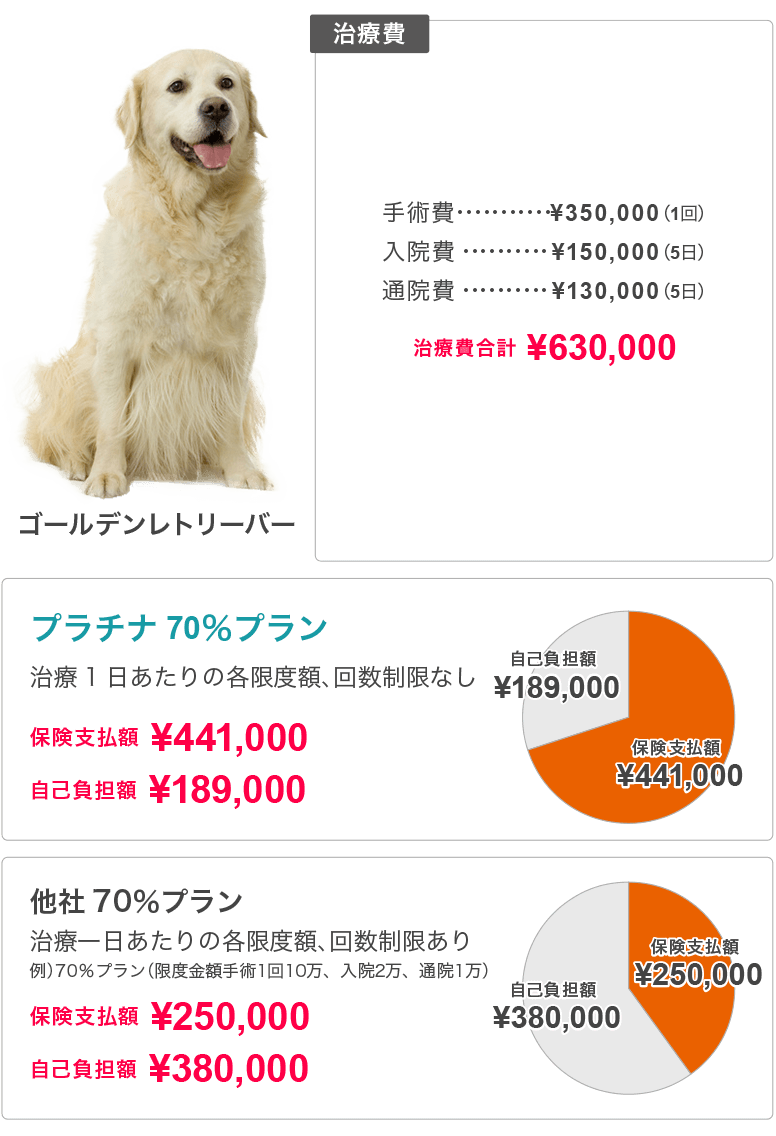 IKEA ゴールデンレトリバー: あなたの家族に最適な家具選び 14 rei img004sp